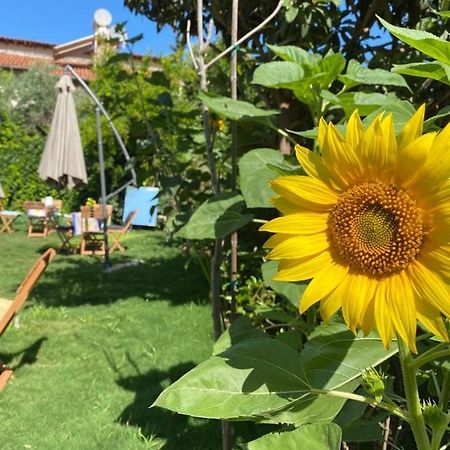 Lemon-Ada Butik Otel Kusadası Extérieur photo